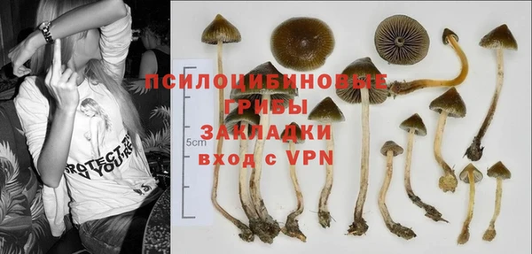мескалин Арсеньев