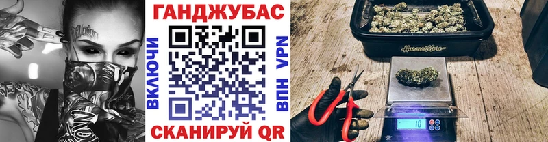 сколько стоит  Белебей  Канабис сатива 